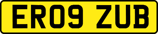 ER09ZUB