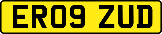 ER09ZUD