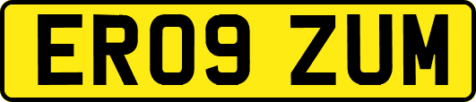 ER09ZUM