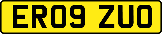 ER09ZUO