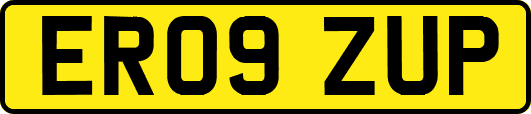 ER09ZUP