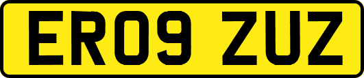 ER09ZUZ