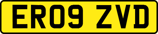 ER09ZVD