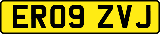 ER09ZVJ