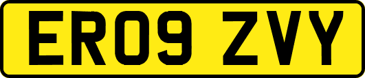 ER09ZVY