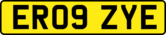 ER09ZYE