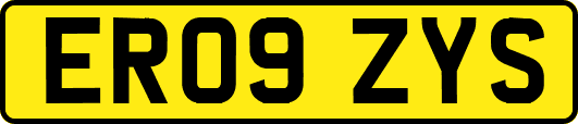 ER09ZYS