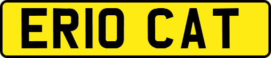 ER10CAT