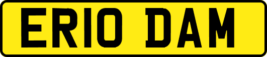 ER10DAM