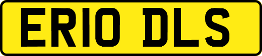 ER10DLS
