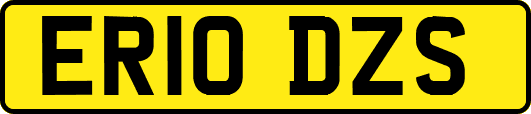 ER10DZS
