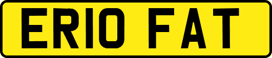 ER10FAT