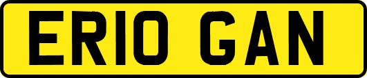 ER10GAN