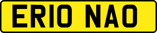 ER10NAO
