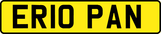 ER10PAN