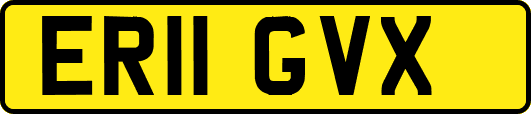 ER11GVX