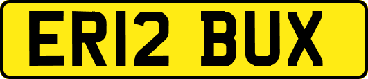 ER12BUX