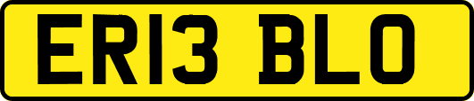 ER13BLO
