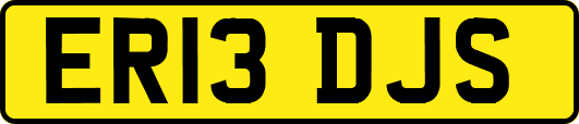 ER13DJS