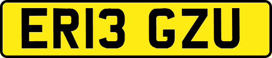 ER13GZU