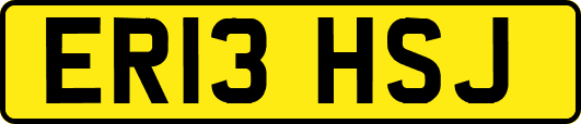 ER13HSJ
