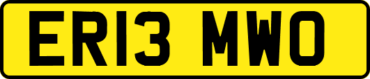 ER13MWO