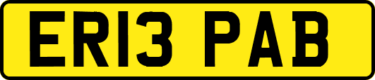 ER13PAB