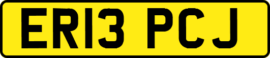 ER13PCJ