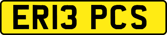 ER13PCS