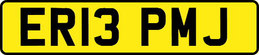 ER13PMJ