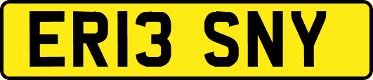 ER13SNY