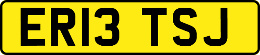ER13TSJ