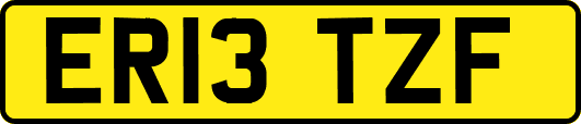ER13TZF