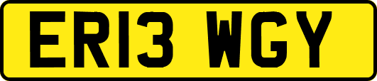ER13WGY