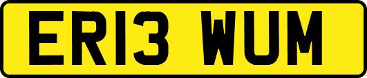 ER13WUM