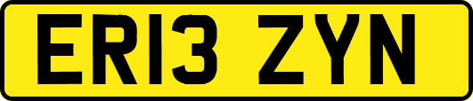 ER13ZYN