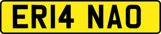 ER14NAO