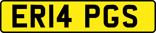 ER14PGS
