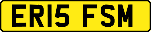ER15FSM