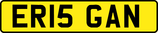 ER15GAN