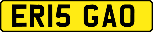 ER15GAO