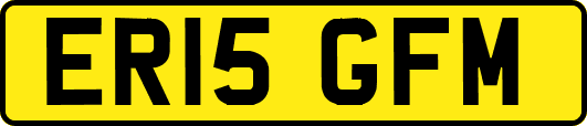 ER15GFM