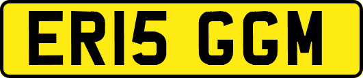 ER15GGM