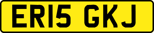 ER15GKJ
