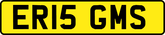 ER15GMS