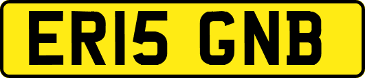 ER15GNB