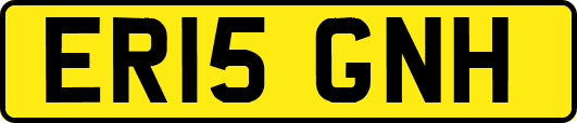 ER15GNH