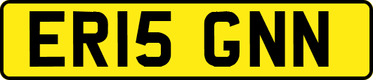 ER15GNN