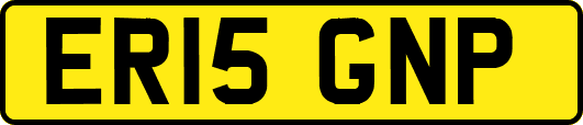 ER15GNP