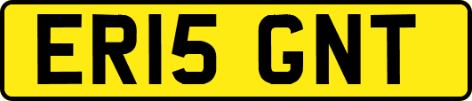 ER15GNT